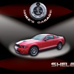Shelby GT 500 - Easy Websites Solutions