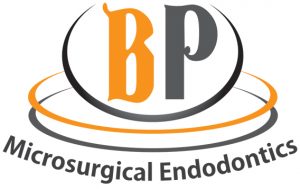 BP Microendo - Easy Websites Solutions