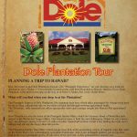 Dole Plantation - Easy Websites Solutions